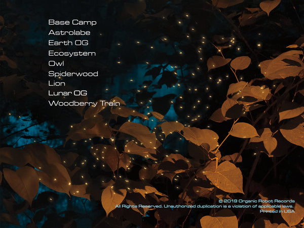 Base Camp - Compact Disc (CD)